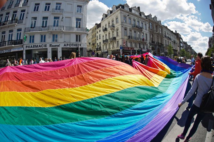Image for En mai, fais ce qu'il te Pride!