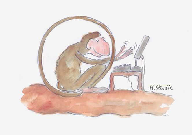 Image for Die Geburt des Klammer@ffen
