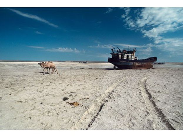 Image for Usbekistan: Was ist uns billige Baumwolle wert?