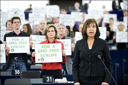Image for When will the European election take place in your country?