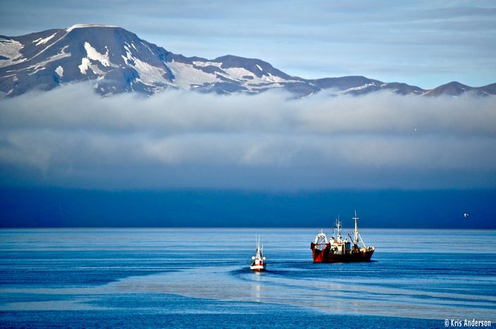 Image for Voyage : cinq choses à ne pas faire en Islande