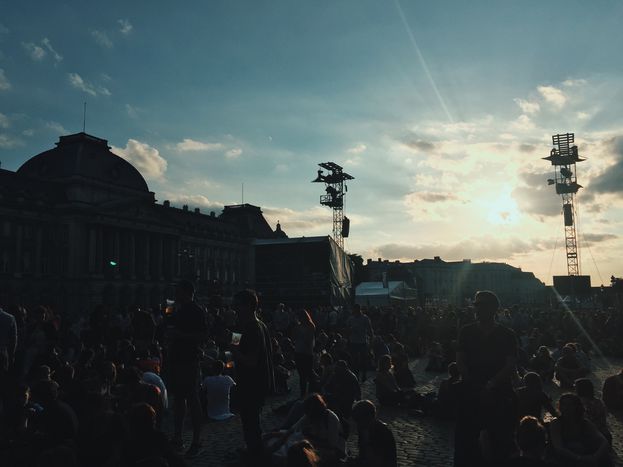 Image for Bruxelles vue par les festivaliers du BSF