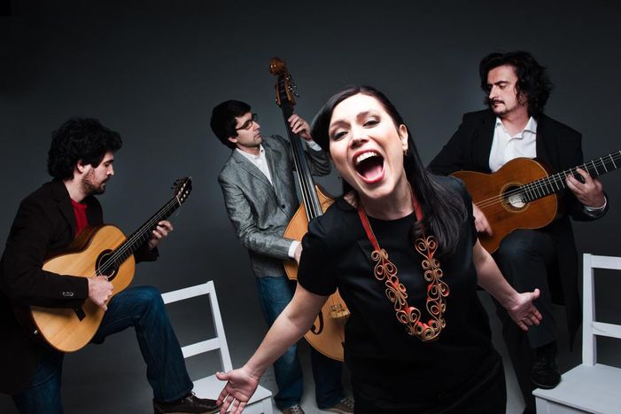 Image for Auf der Suche nach dem portugiesischen Blues