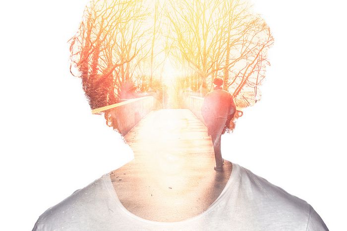 Image for Forging a sense of self through language