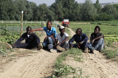 Image for Flüchtlingshilfe: Integration auf elf Hektar Land