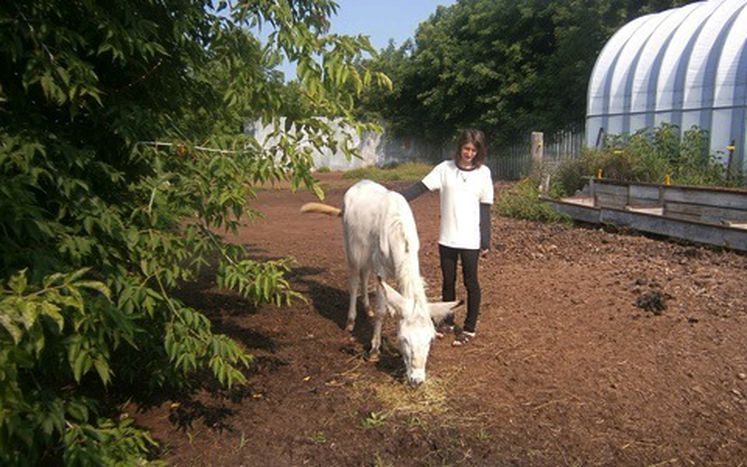 Image for Wwoofing: il ritorno alle origini e alla natura 