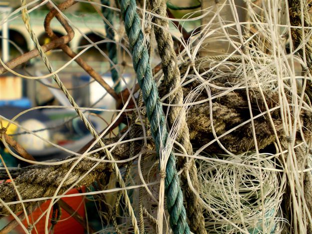 Image for Chalutage profond : « L'industrie de la pêche a peur »