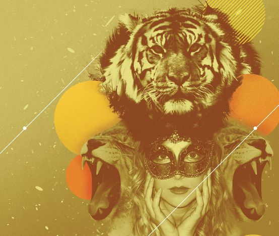 Image for Turkey's Masked Ball