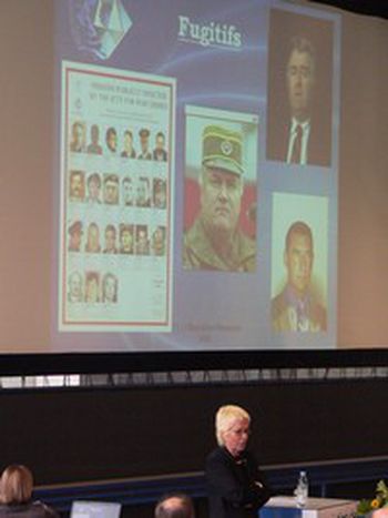 Image for Ante Gotovina: Heldendämmerung

