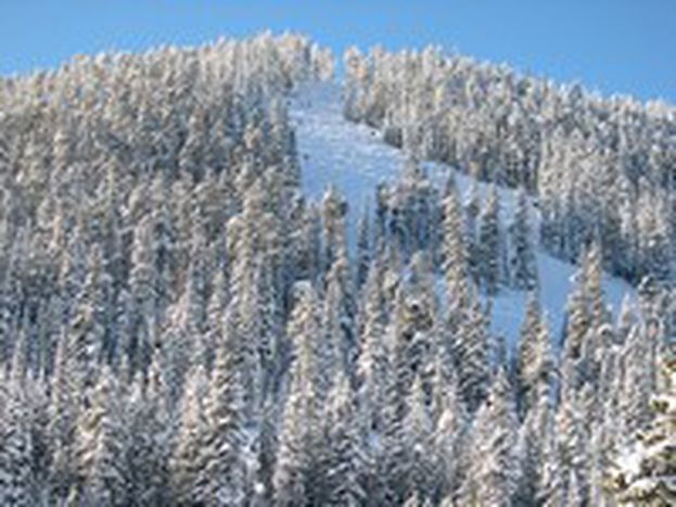 Image for Eté indien en montagne
