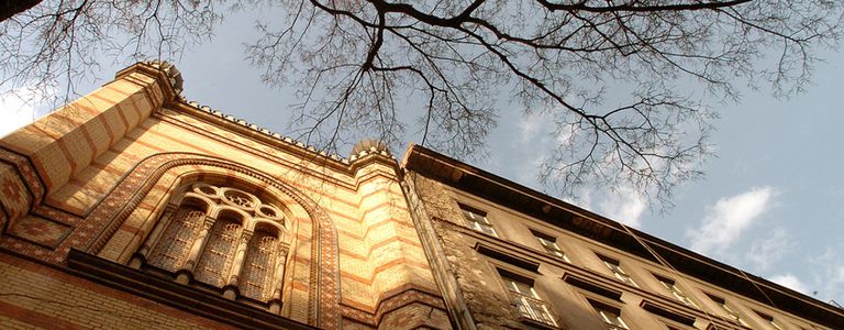 Image for Orbán hat Soros-Hochschule im Visier