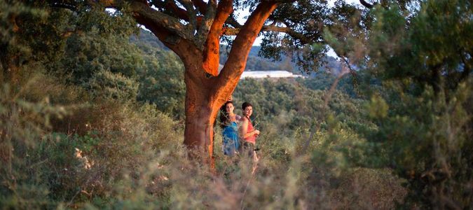 Image for Pas de Trai 2016, musica, natura e "good vibes"