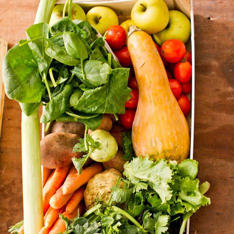 Image for hungría piensa en verde