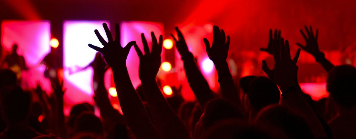 Image for Guida semiseria di sopravvivenza ai concerti dell'estate