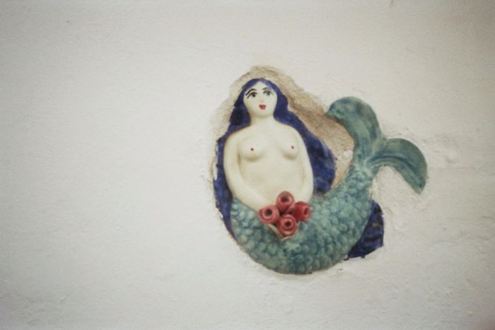 Image for Viaggio nei simboli dell'acqua
