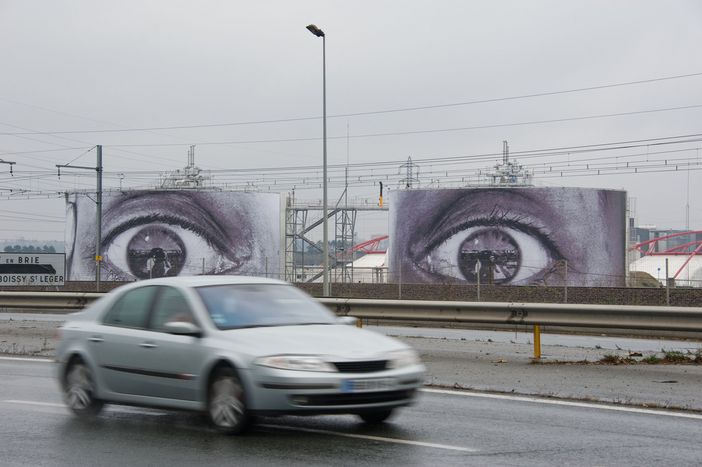 Image for The automobile industry and the economic crisis: the French example and the European fear of protectionism
