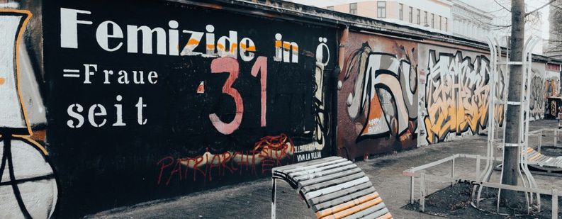 Image for Violenza di genere: l'elefante austriaco