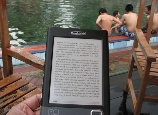 Image for Europeana contra Google: la batalla del libro virtual
