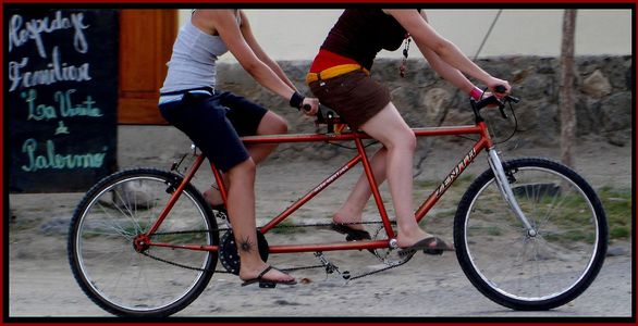 Image for Cinco bicis y una vuelta al mundo a pedales