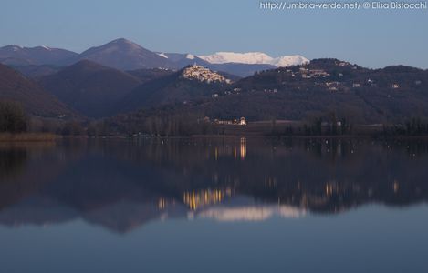 Image for Là ou résonne le bois: un voyage à pied le long de la via Francigena