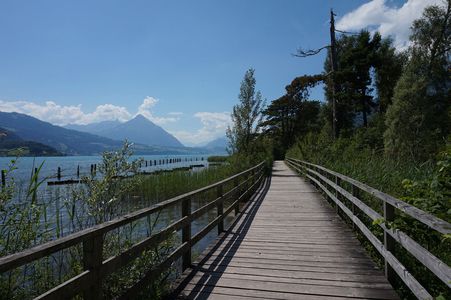 Image for "Ich habe kalt!": Le Tyrol du Sud, perdu entre deux langues