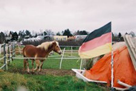 Image for 2007, Odissea nell'Ue
