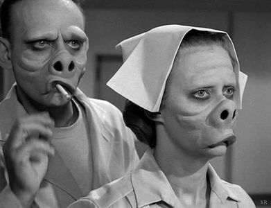 Image for Smells like labour laws (video)
