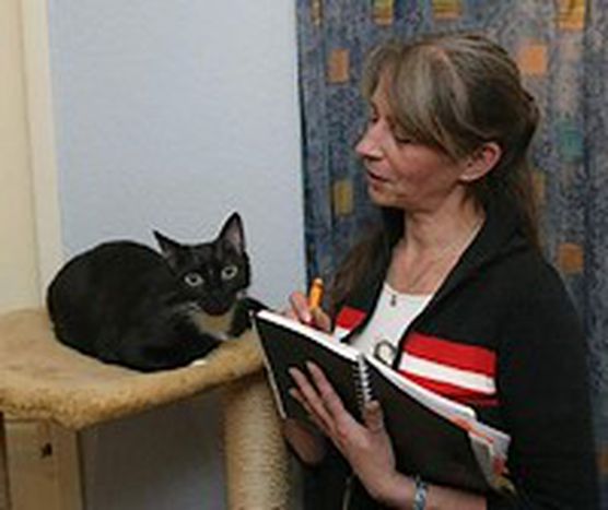 Image for Koza na kozetce
