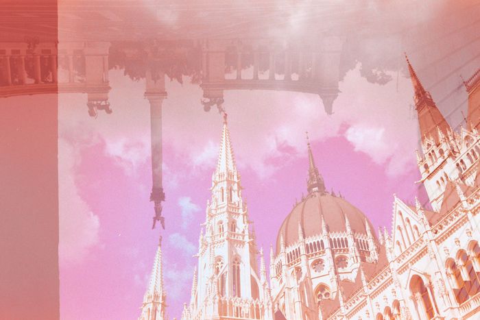 Image for Budapest: la tua istruzione? Piuttosto emigro