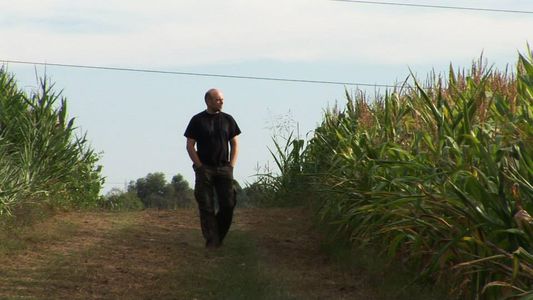 Image for Presi per il Pil: alternative felici alla crescita infinita 