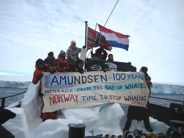 Image for Sea Sheperd arponea la pesca japonesa de ballenas