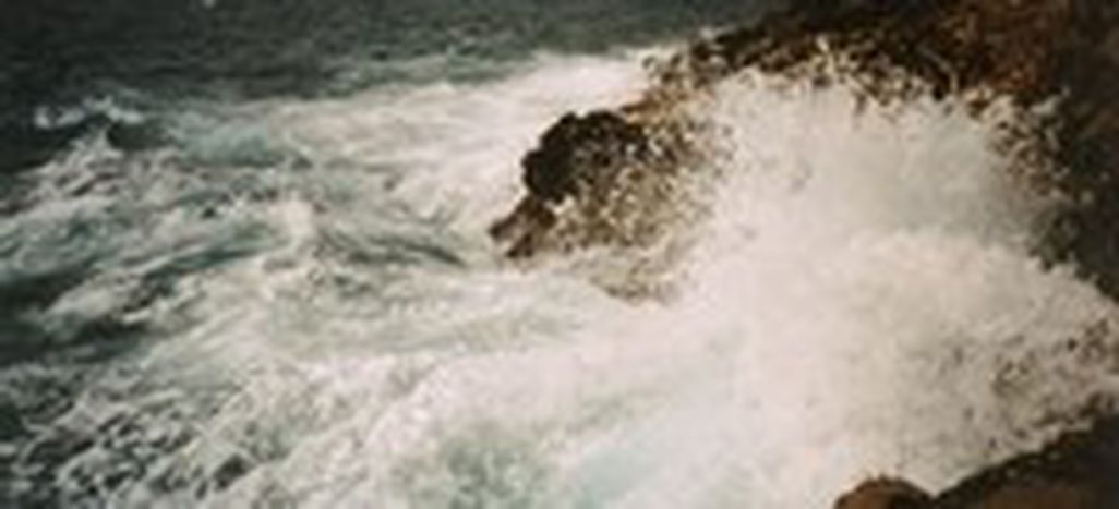 Image for Il decennio disincantato
