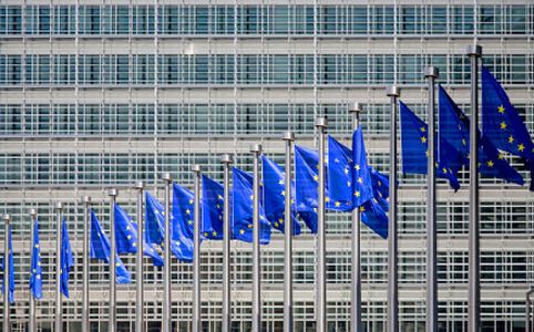 Image for European Council: the Estonian Position