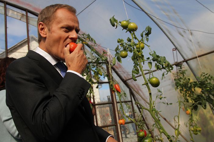 Image for Poland elections: another one bites the Tusk
