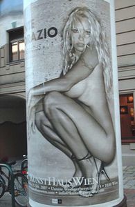 Image for Gli uomini preferiscono le oche
