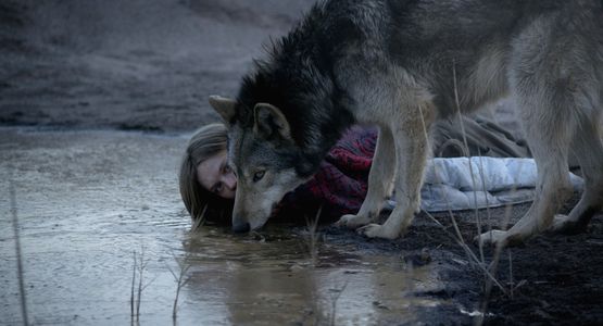 Image for Elle a vu le loup - "Wild" de Nicolette Krebitz