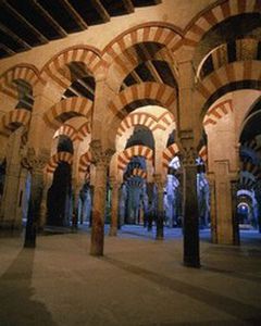 Image for Towards a European Islam?
