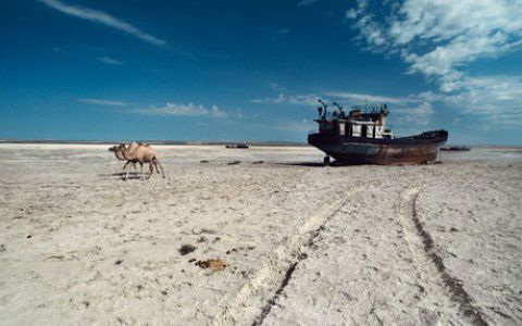 Image for Uzbekistan: How much is cheap cotton worth to us?