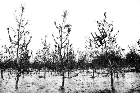 Image for Inondations en Pologne : Natures mortes, beauté tragique 