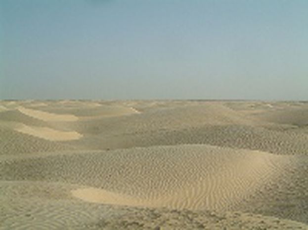 Image for Meeting Middle Eastern challenges
