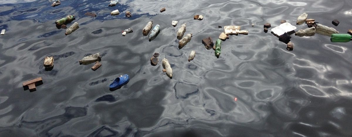 Image for Au Pays-Basque, les surfeurs s'attaquent aux déchets maritimes