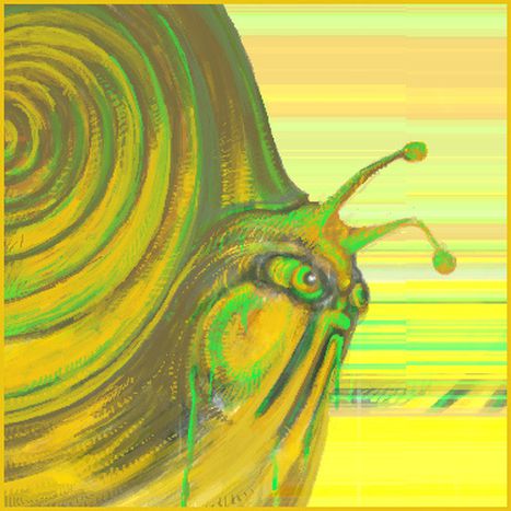 Image for Los caracoles: babosas de lujo
