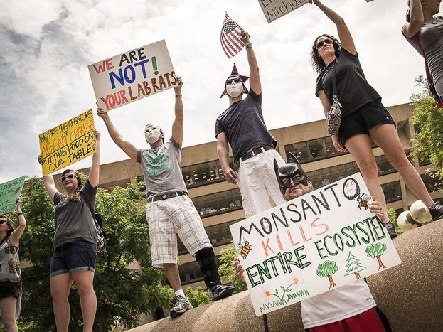 Image for Ogm: le monde en marche contre les dangers de Monsanto