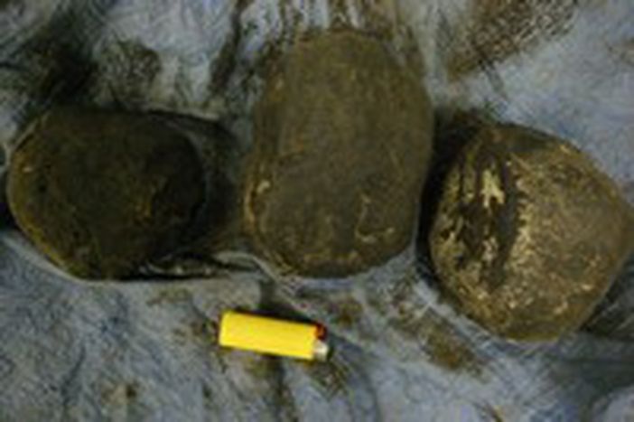 Image for Oppio, l’oro verde afghano
