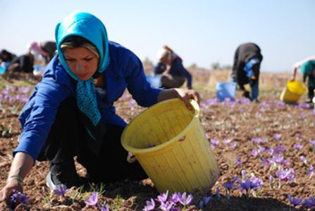 Image for Iran : regards croisés au cœur d’un quotidien