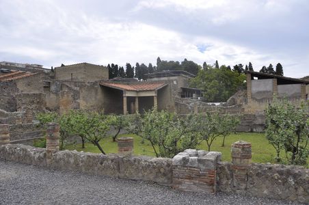 Image for Un’Herculaneum da ri-scoprire
