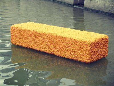 Image for 50 Jahre: Lieber Fischstäbchen als Fisch mit Stäbchen
