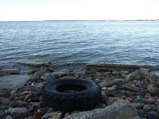 Image for Pollution in the Baltic sea  *gallery*