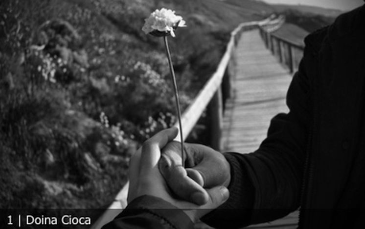 Image for Primer amor, segundo hogar