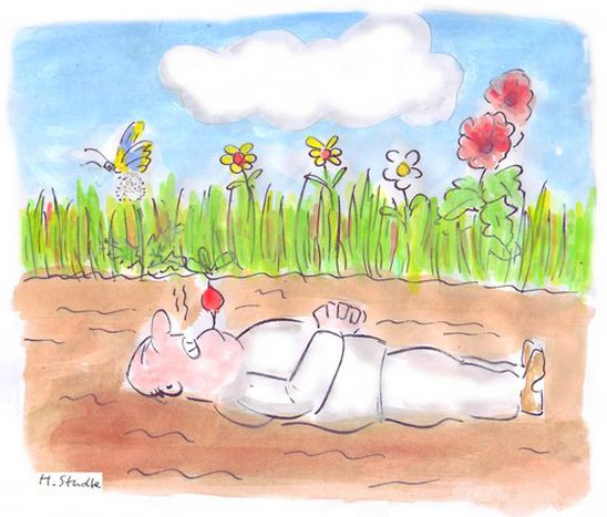 Image for Zurück zu den Wurzeln
